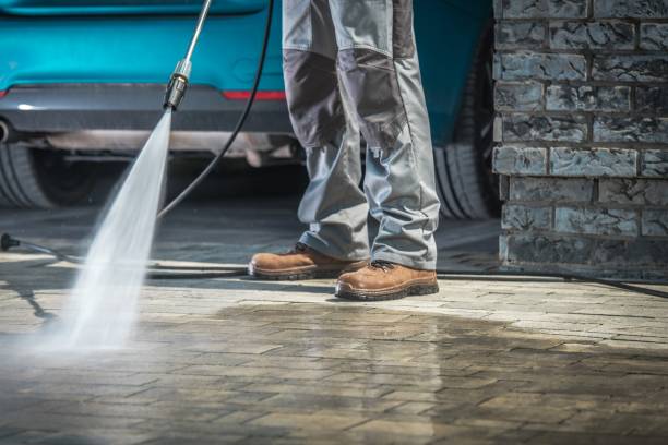 Best Roof Washing  in Grapeland, TX