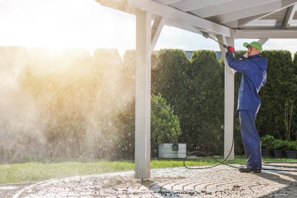 Best Sidewalk and Walkway Cleaning  in Grapeland, TX